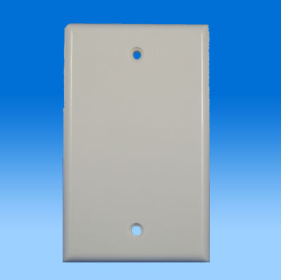 ZH-WP48  BLANK COVER PLATE